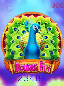 Descubra o Mundo Emocionante de DoubleFly com a Chave 234BR